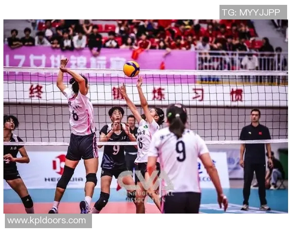 上海排球队荣登排球耐力排行榜第一名展现卓越实力与团队精神