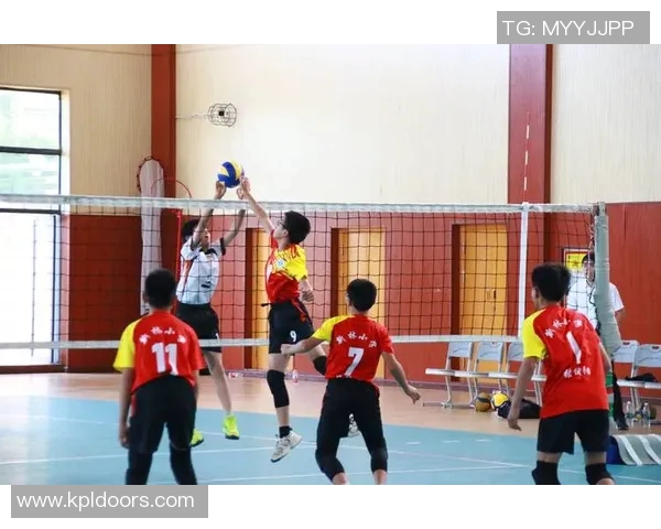 重庆排球队创历史新高排球速度排名再创新纪录引发热议