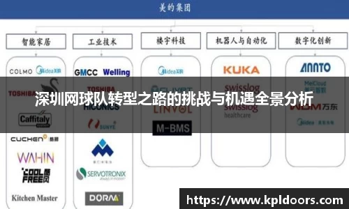 深圳网球队转型之路的挑战与机遇全景分析